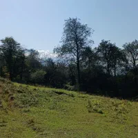 فروش زمین و خانه|فروش خانه و ویلا|آلاشت, |دیوار