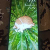 گوشی شیایومی ردمی9