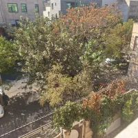 127متر کاشان نواب اسکندری کارگر