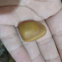 فروشی|کلکسیون اشیاء عتیقه|گنبد کاووس, |دیوار