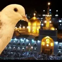 کاروان زیارتی باکیفیت +مناسب  فوری