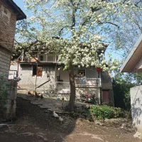 خانه ویلایی روزانه با ویو طبیعت|اجارهٔ کوتاه‌مدت ویلا و باغ|املش, |دیوار