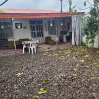 اجاره ویلای جنگلی|اجارهٔ کوتاهمدت ویلا و باغ|رشت, گیل|دیوار