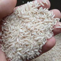 برنج حسنی روشن وشیرودی|خوردنی و آشامیدنی|سنگر, |دیوار