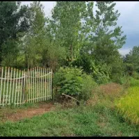 زمین مسکونی 700 متری شفت|فروش زمین و ملک کلنگی|رشت, لاکانی|دیوار