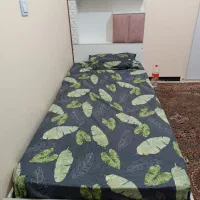 تخت جوان یک نفره
