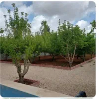 باغ ویلا هماشهر|فروش خانه و ویلا|همایجان, |دیوار