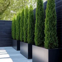 فلاور باکس و گلدان فلزی|گل و گیاه طبیعی|رباط‌کریم, رباط‌کریم|دیوار