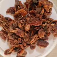 برگه زردآلو ارگانیک