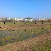 فروش زمین ۳۰۰ متری در خود شهر رشت