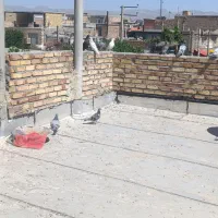 پرنده چوخ اوچب اوینیان