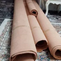 موکت|موکت|اشتهارد, |دیوار