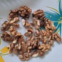 گردو تازه امسالی پرزرد الو الوچه خورشتی درشت