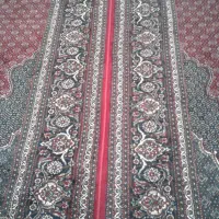 سالم بدون زدگی سوختگی