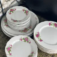 گل سرخی مناسب پذیرایی وخانه باغ