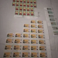 تمر سا ل ۱۳۶۱ تا ۱۳۶۳