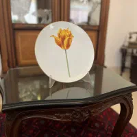 بشقاب دیواری طرح گل لاله|صنایع دستی و سایر لوازم تزئینی|مشهد, هفت تیر (حافظ)|دیوار