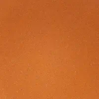 آرتمیا دکپسوله خشک خالص درجه یک