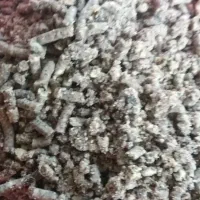 گردو اسیاب شده ومغز گردو به شرط