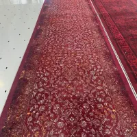 کناره و تو راهرویی