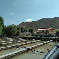 ویلا استخر فیروزکوه
