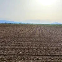 زمین-کشاورزی