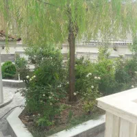 ویلایی دربست ۳۵۰ متری،۳ خواب، بلوار بهشت