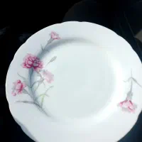 بشقاب گل میخک ژاپنی نو