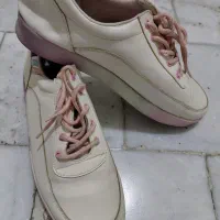 کفش نو وکار کرده|کیف، کفش، کمربند|مراغه, |دیوار