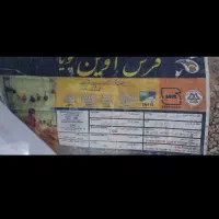 یک جفت فرش ۶ متری|فرش|رشت, کوی مهر|دیوار