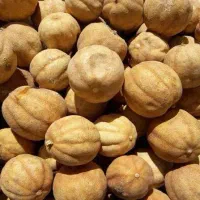 لیمو عمانی خشک درجه یک