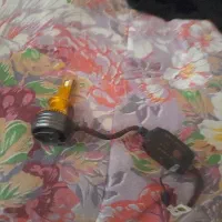 ۱یدونه زنون