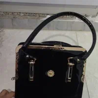 تعدادی کیف مجلسی