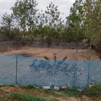 زمین-مسکونی