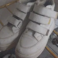 کفش|کیف، کفش، کمربند|اراک, |دیوار