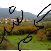گمشده چند عدد مدارک به نام حسن شهبازی فرد