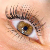 ابرو و مژه رایگان