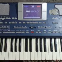 ارگ Pa800|پیانو، کیبورد، آکاردئون|بناب, |دیوار