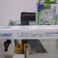 فروش آکواریوم|ماهی|بهبهان, |دیوار