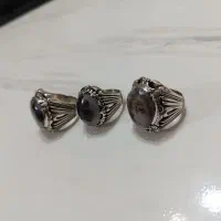۳عدد شجر