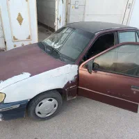 دوو ریسر زرشکی