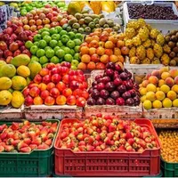 اجاره باغ میوه پذیرفته میشود|خدمات باغبانی و درختکاری|خوی, |دیوار