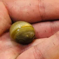 سنگ انگشتر|جواهرات|اهواز, کارون|دیوار