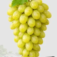 آبگیری انگور سیب(جلیلی) دستگاه قوی