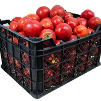 گوجه درجه یک ترش مزه