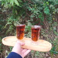 محصولات گیلانی درجه یک خانگی