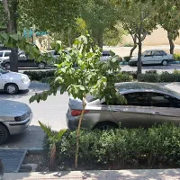 فروش-زمین170متری-دونبش-مجوزساخت5سقف-رباط-اول
