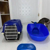 وسایل واجب گربه