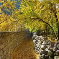 تور بانوان و خانواده تقدیممیکند