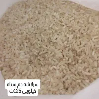 برنج فجر اعلاء فقط 30درصد لاشه داره کیلویی 170ت|خوردنی و آشامیدنی|گنبد کاووس, |دیوار